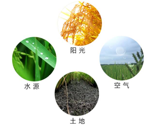 F8393CEBF6D9F0B2275D762D1381525E63669EE3_w640_h515.jpg